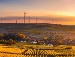 Sunset over a rural landscape with fields, vineyards, and wind turbines on the horizon