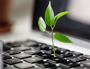 Small green plant sprouting from the keyboard of a laptop, symbolizing sustainability and digital growth