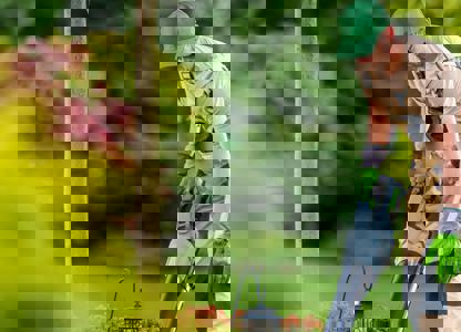 Gardener using a leaf blower to clear debris in a landscaped garden