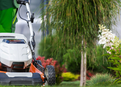 A lawnmower in action